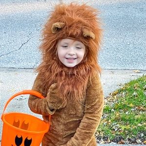 Deluxe Lion Costume - 4T